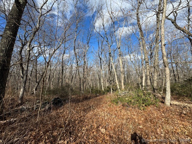 Mountain Laurel Drive Middletown CT 06457