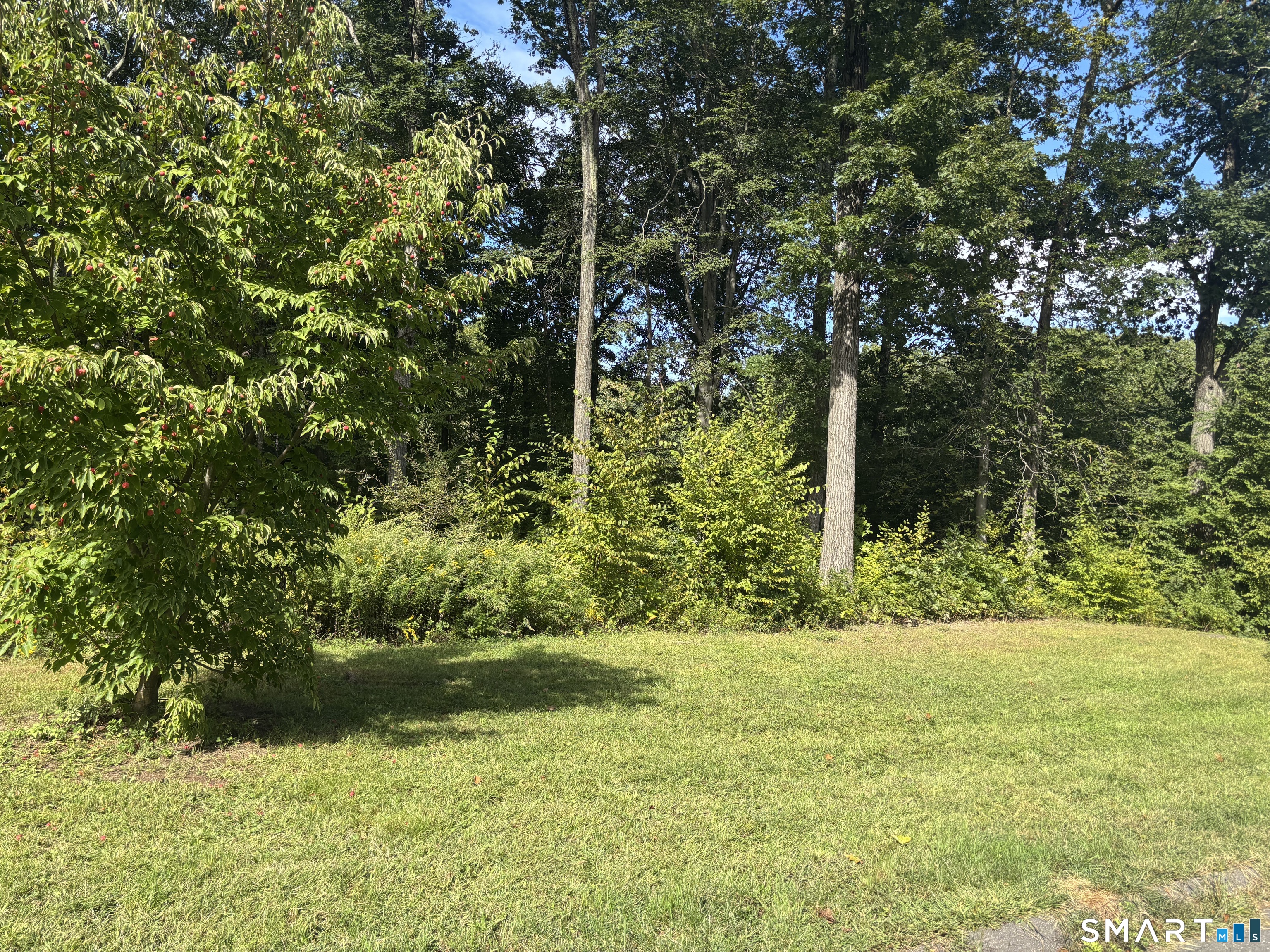 8 Sebastian Trail Newtown CT 06470