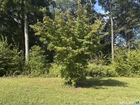 8 Sebastian Trail Newtown CT 06470