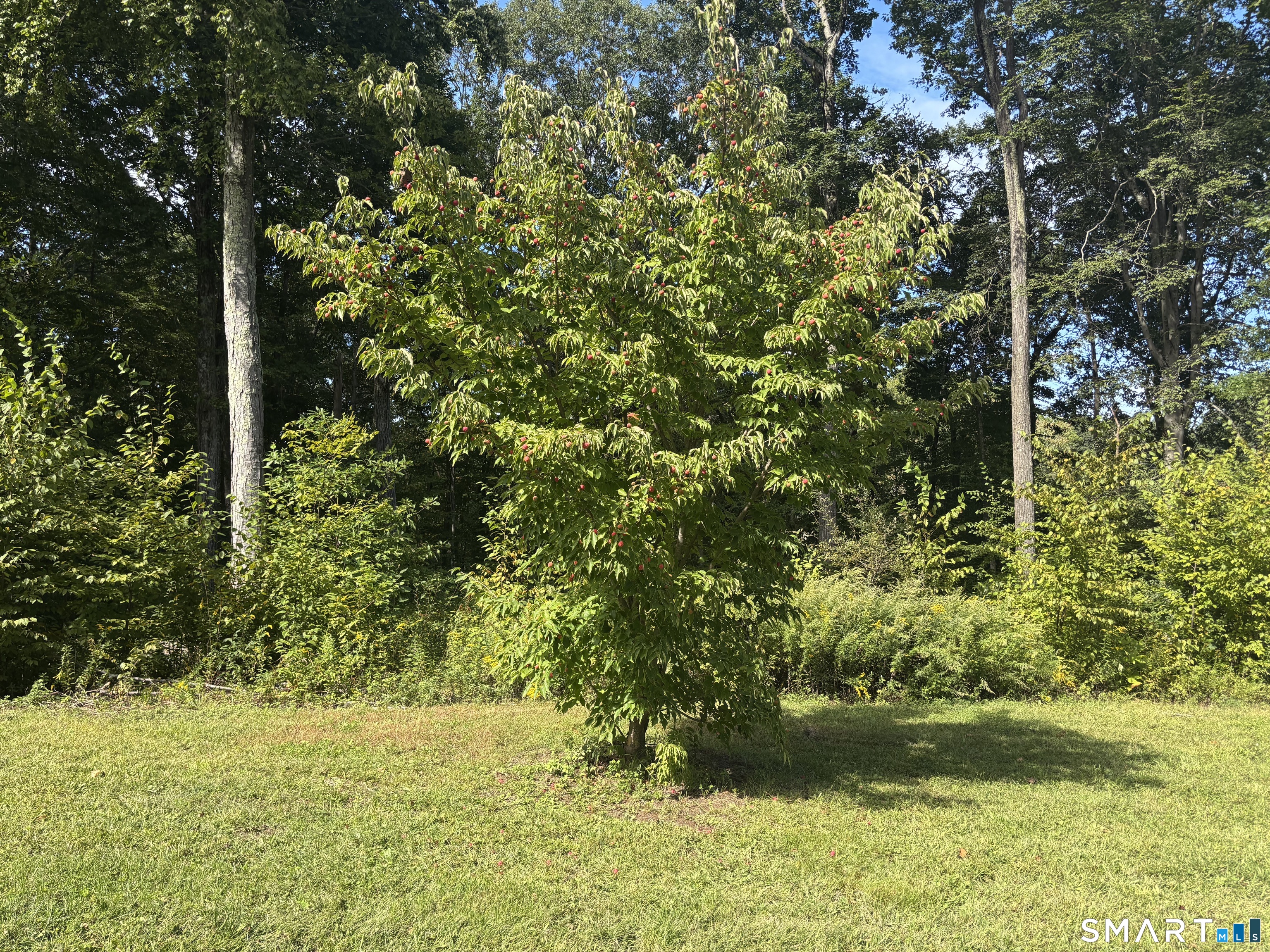 8 Sebastian Trail Newtown CT 06470