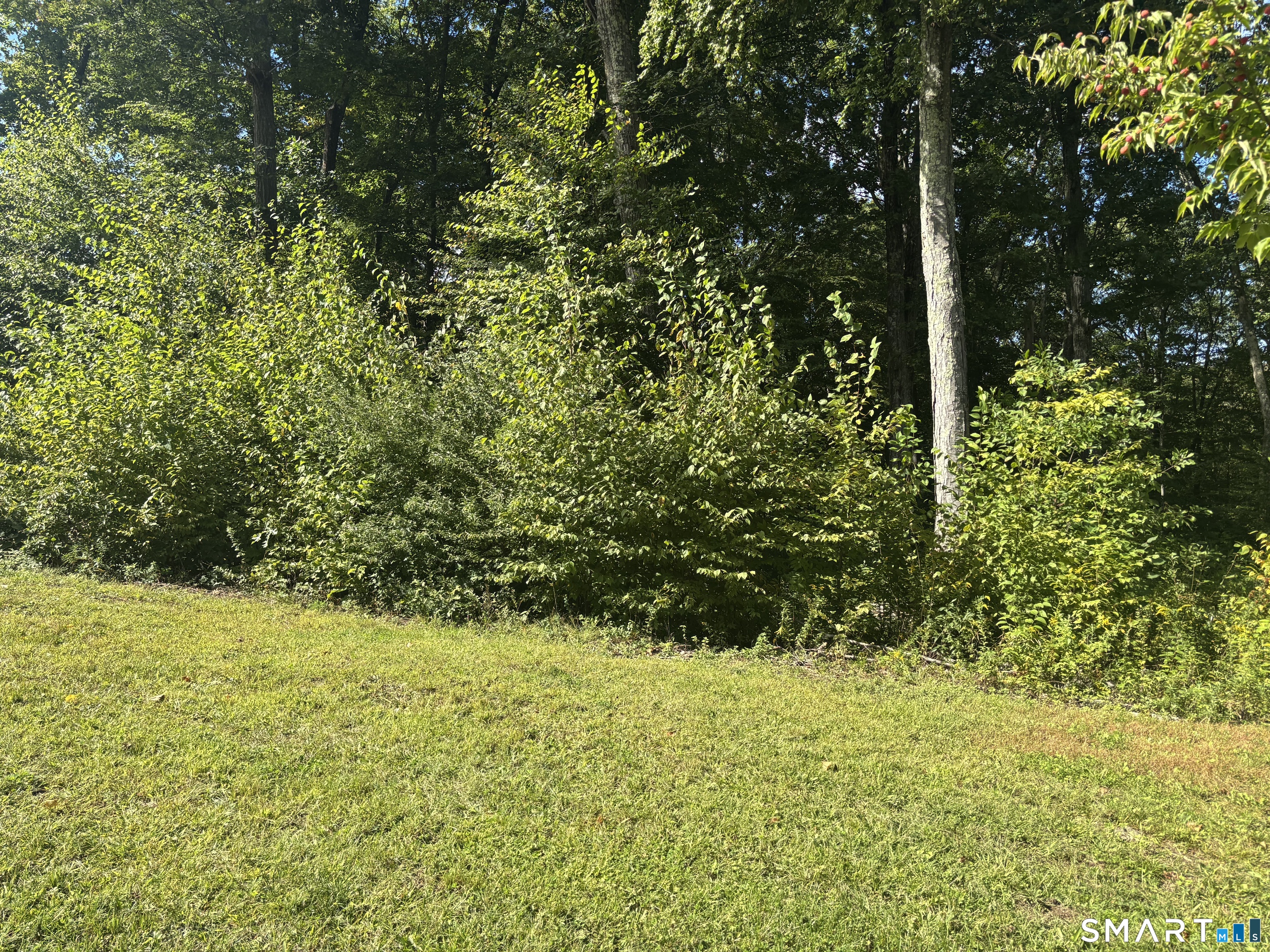 8 Sebastian Trail Newtown CT 06470