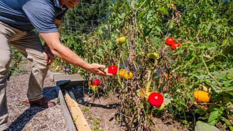 6 Kingfisher Way Stonington CT 06355