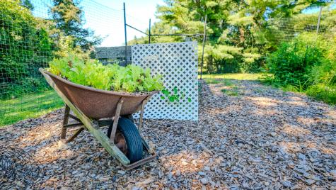 6 Kingfisher Way Stonington CT 06355