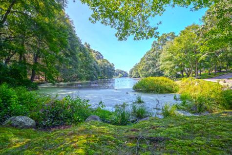 6 Kingfisher Way Stonington CT 06355