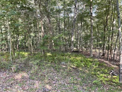 Lot 6 Cattle Pen Lane Ridgefield CT 06877