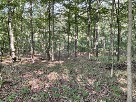 Lot 6 Cattle Pen Lane Ridgefield CT 06877