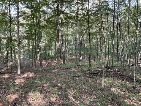 Lot 6 Cattle Pen Lane Ridgefield CT 06877