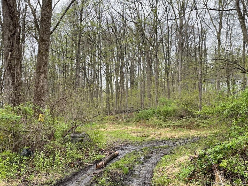 26 Eastview Drive New Milford CT 06776