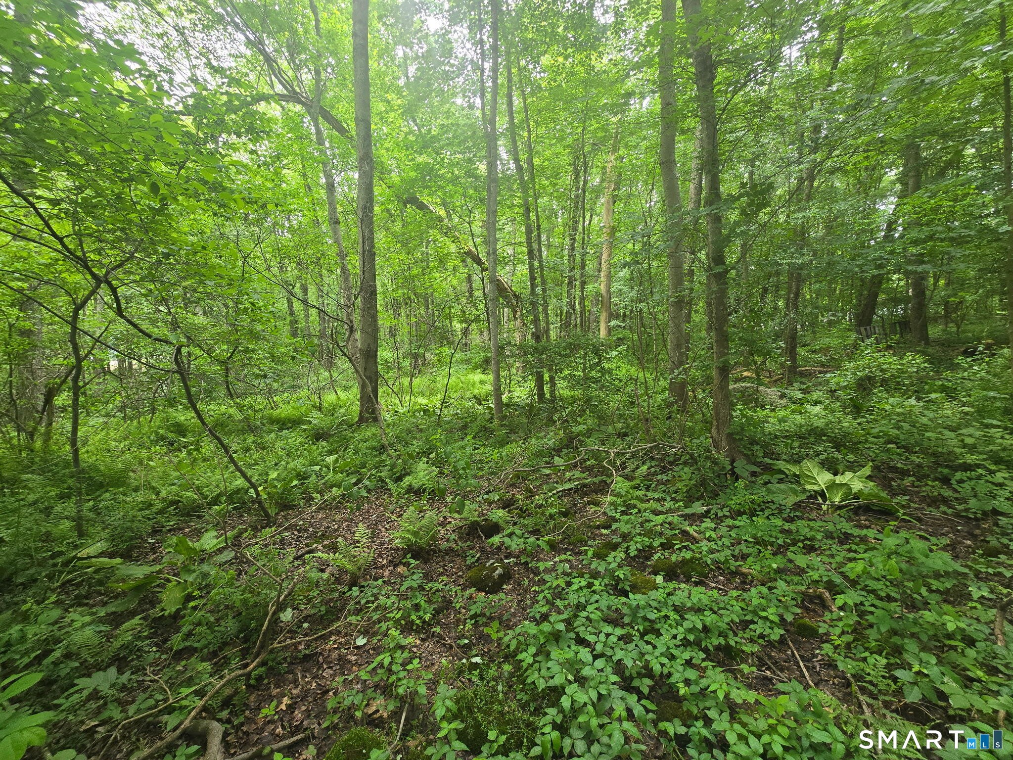 Boston Hill Road Andover CT 06232