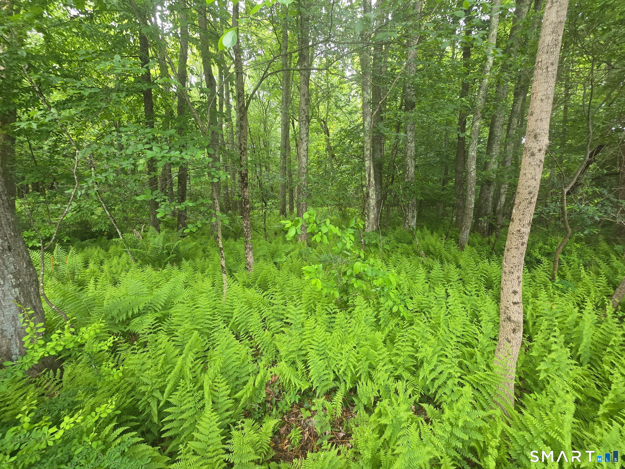 Boston Hill Road Andover CT 06232