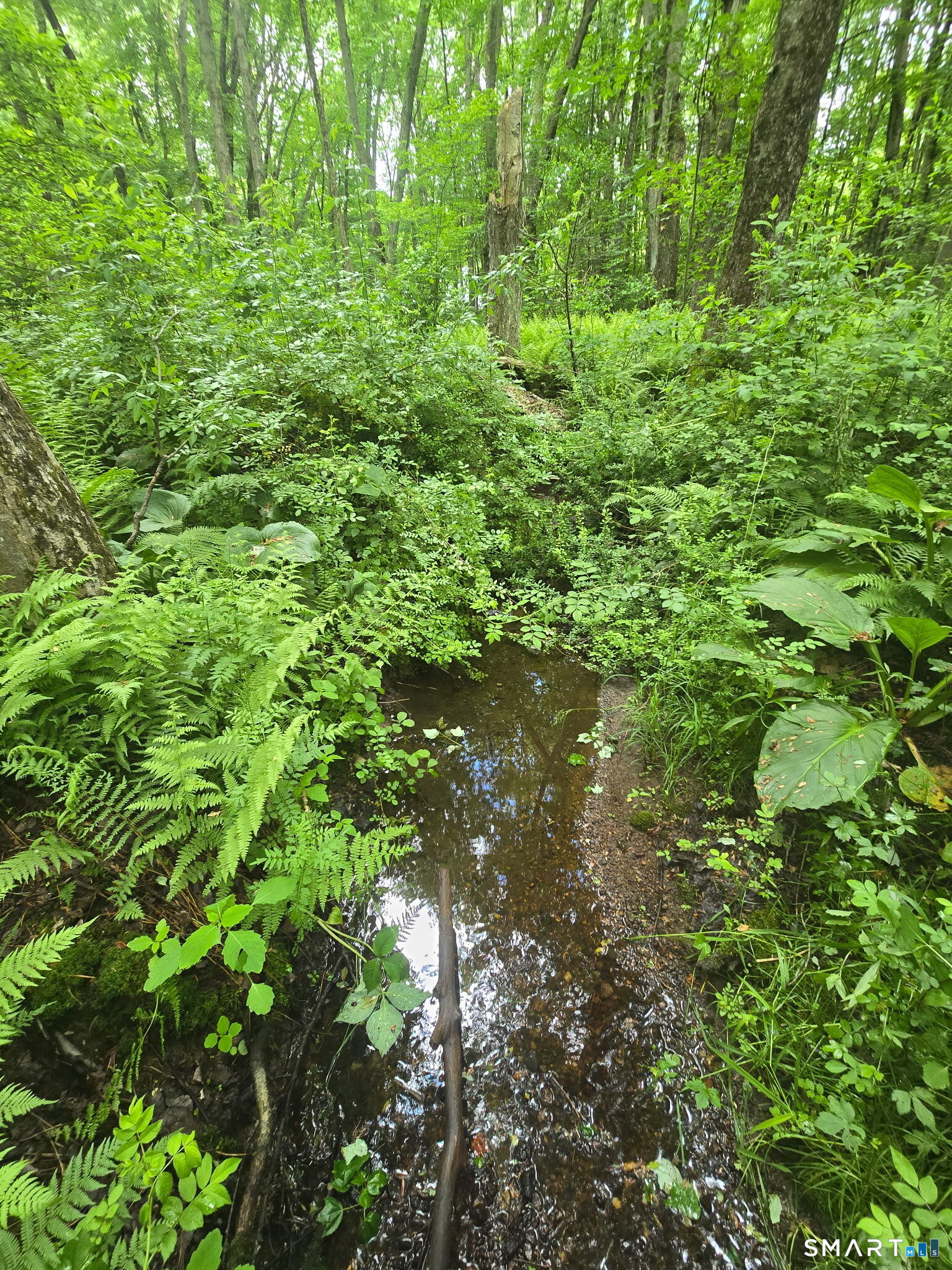 Boston Hill Road Andover CT 06232
