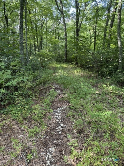 Spectacle Ridge Road Kent CT 06785