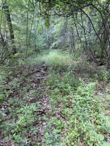 Spectacle Ridge Road Kent CT 06785
