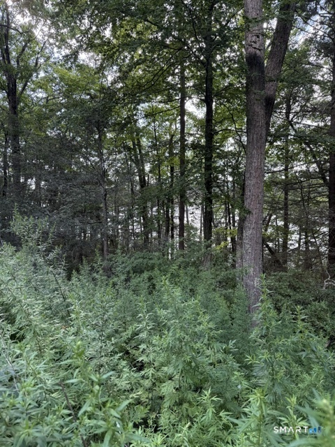 Spectacle Ridge Road Kent CT 06785