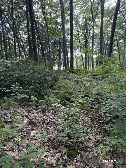 Spectacle Ridge Road Kent CT 06785