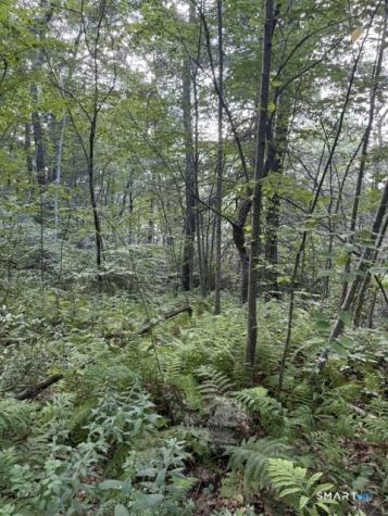 Spectacle Ridge Road Kent CT 06785