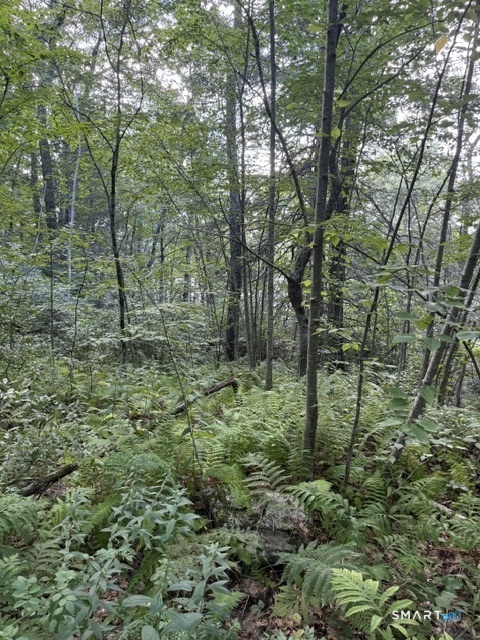Spectacle Ridge Road Kent CT 06785