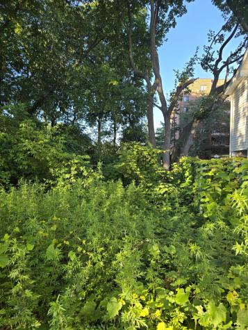 63A Main Street Danbury CT 06810