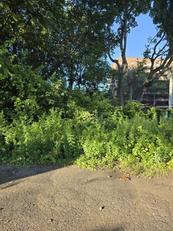 63A Main Street Danbury CT 06810