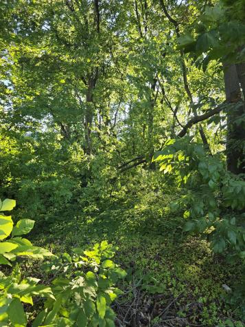 63A Main Street Danbury CT 06810