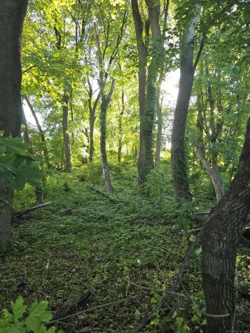 63A Main Street Danbury CT 06810