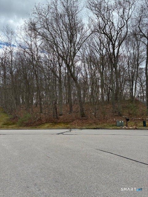 13 Tuckers Run Ledyard CT 06339
