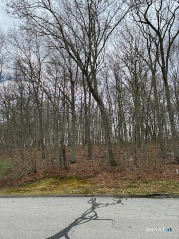 13 Tuckers Run Ledyard CT 06339