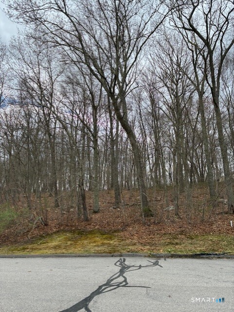 13 Tuckers Run Ledyard CT 06339