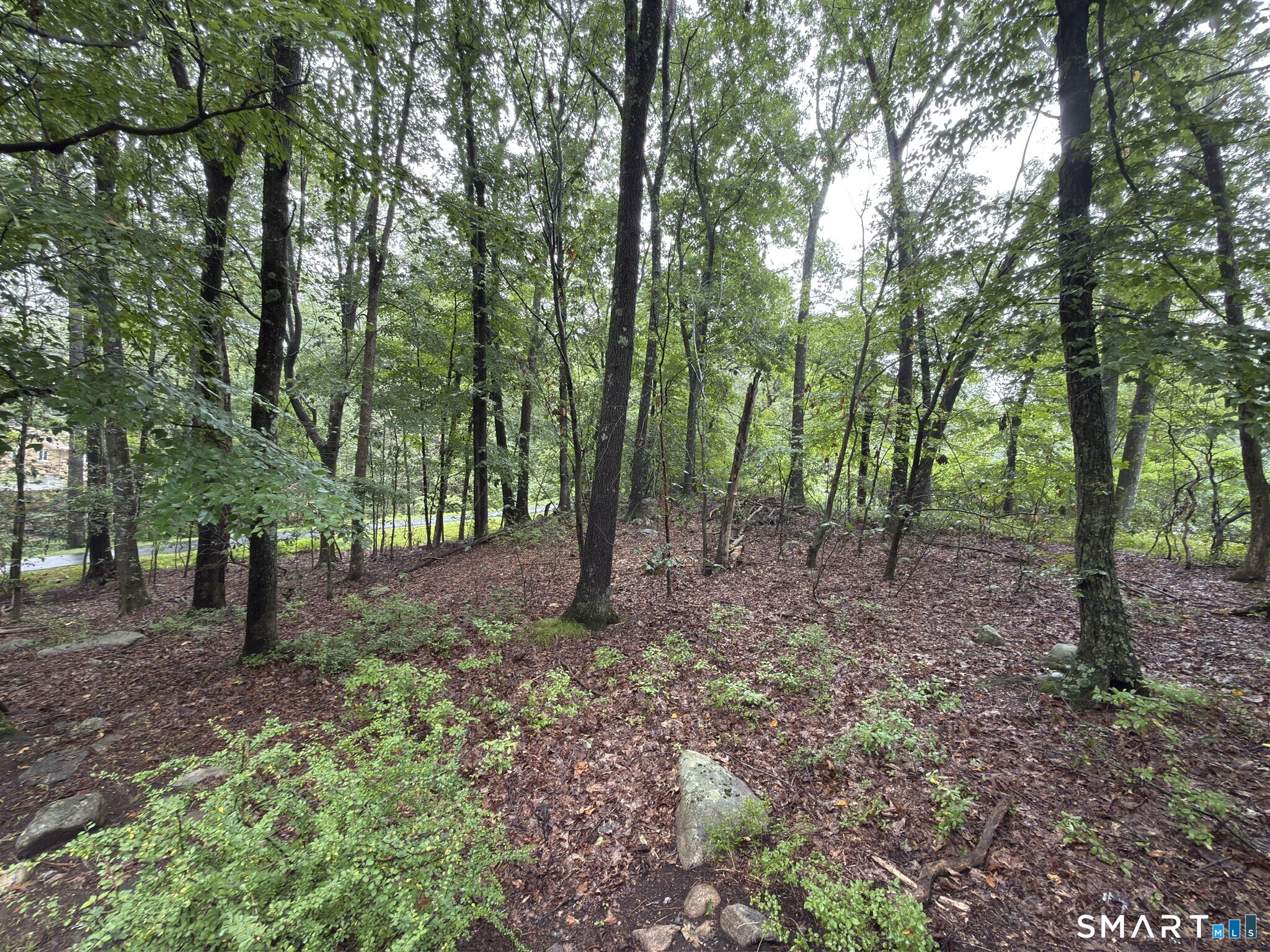 354 Good Hill Road Weston CT 06883