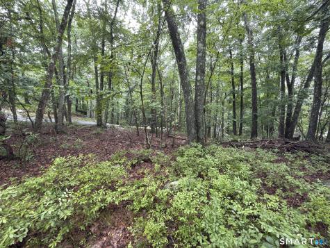 354 Good Hill Road Weston CT 06883