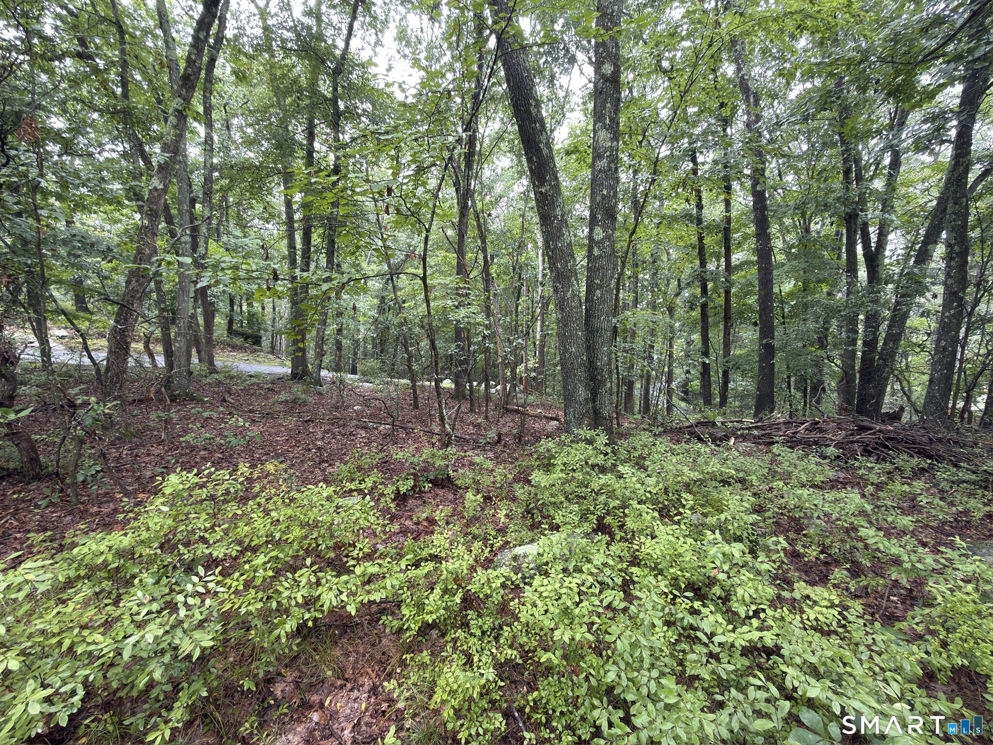 354 Good Hill Road Weston CT 06883