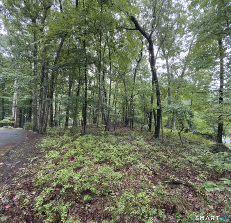 354 Good Hill Road Weston CT 06883