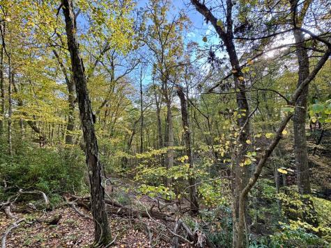 69 Moosehorn Road Roxbury CT 06783