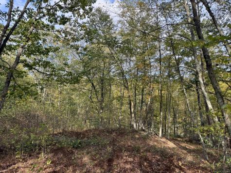 69 Moosehorn Road Roxbury CT 06783