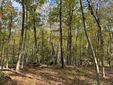 69 Moosehorn Road Roxbury CT 06783