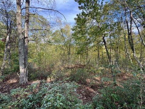 69 Moosehorn Road Roxbury CT 06783