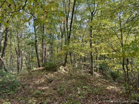 69 Moosehorn Road Roxbury CT 06783