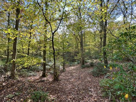 69 Moosehorn Road Roxbury CT 06783