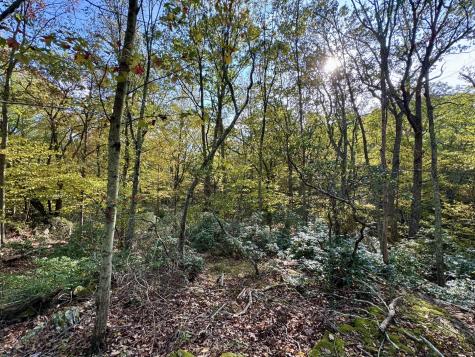 69 Moosehorn Road Roxbury CT 06783