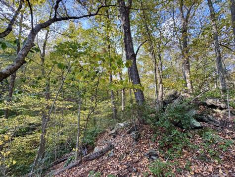 69 Moosehorn Road Roxbury CT 06783