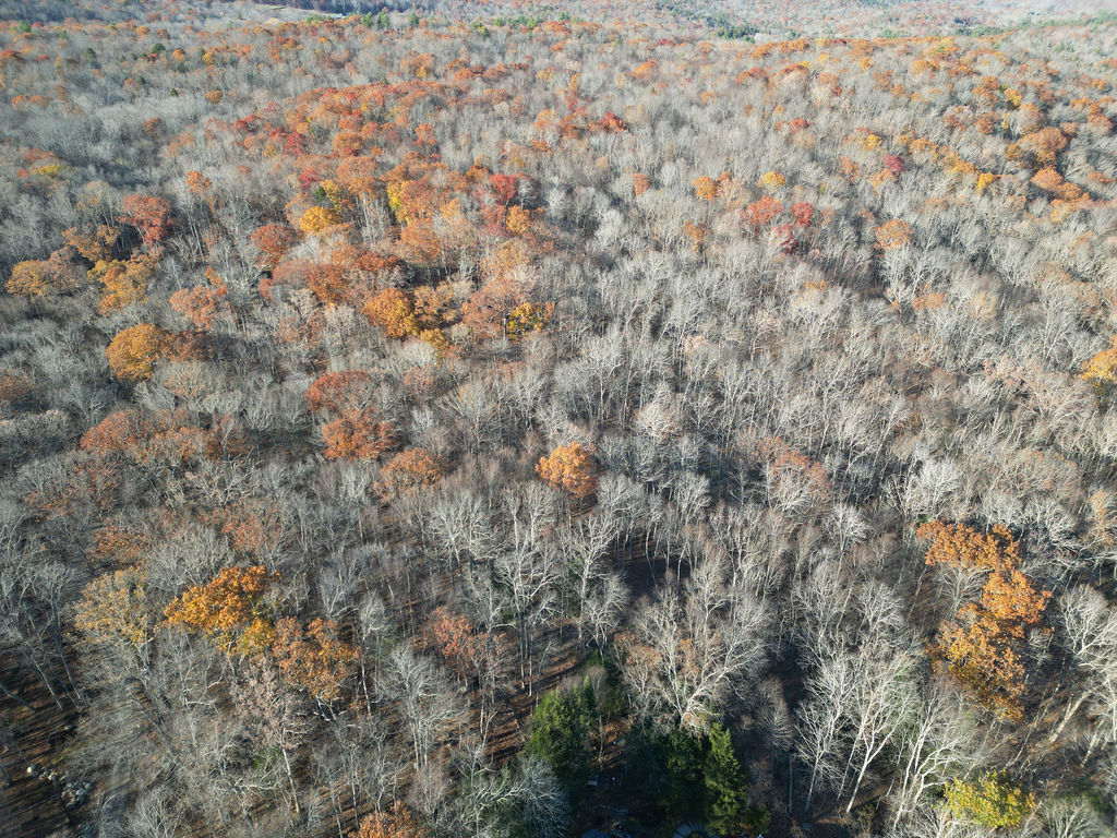 Middle Turnpike Mansfield CT 06268