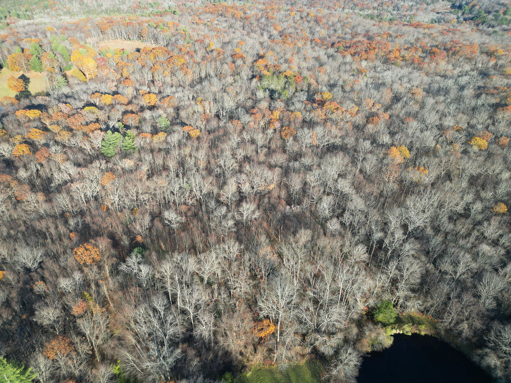 Middle Turnpike Mansfield CT 06268