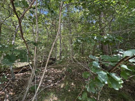 River Road Willington CT 06279