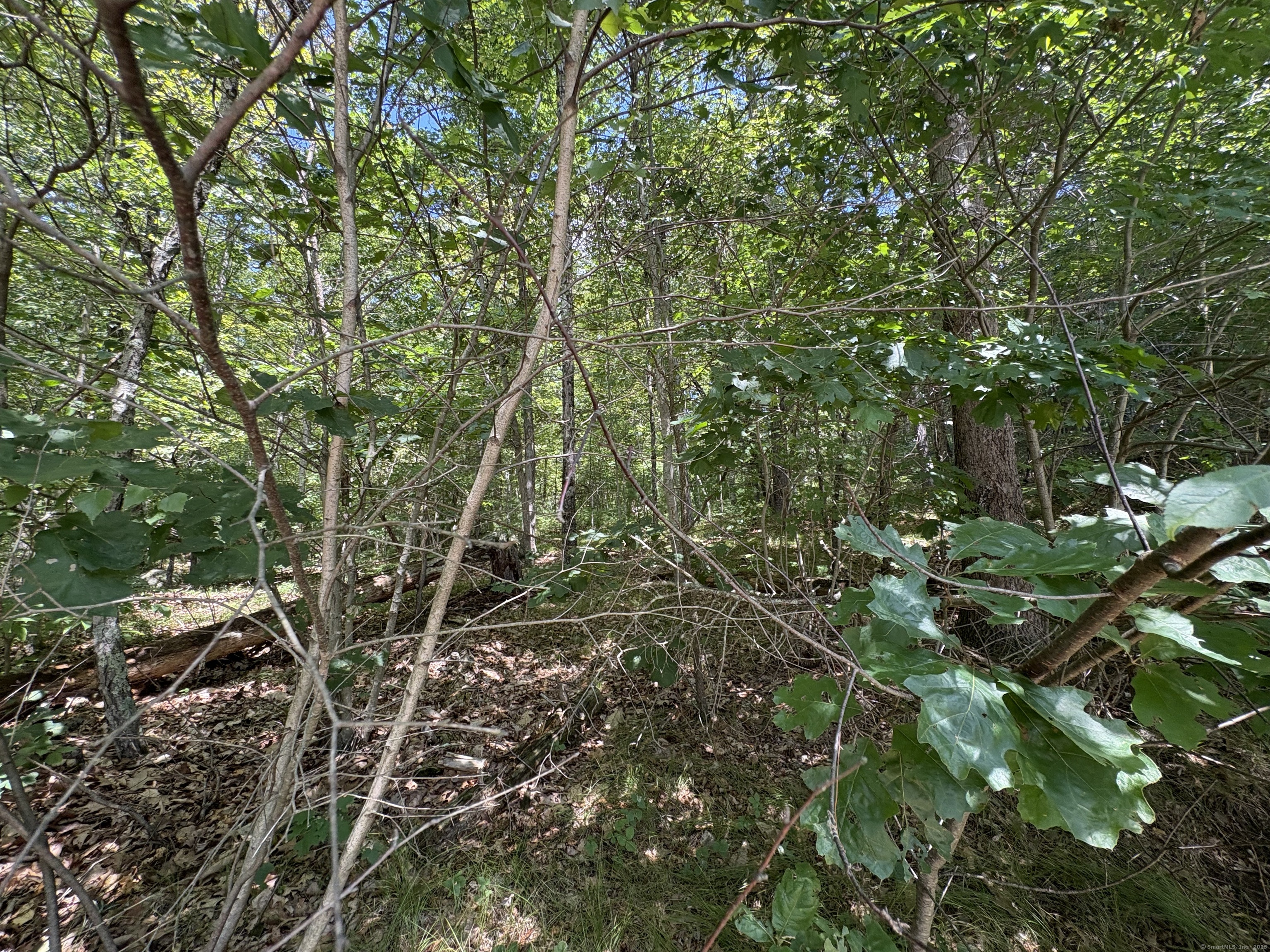 River Road Willington CT 06279
