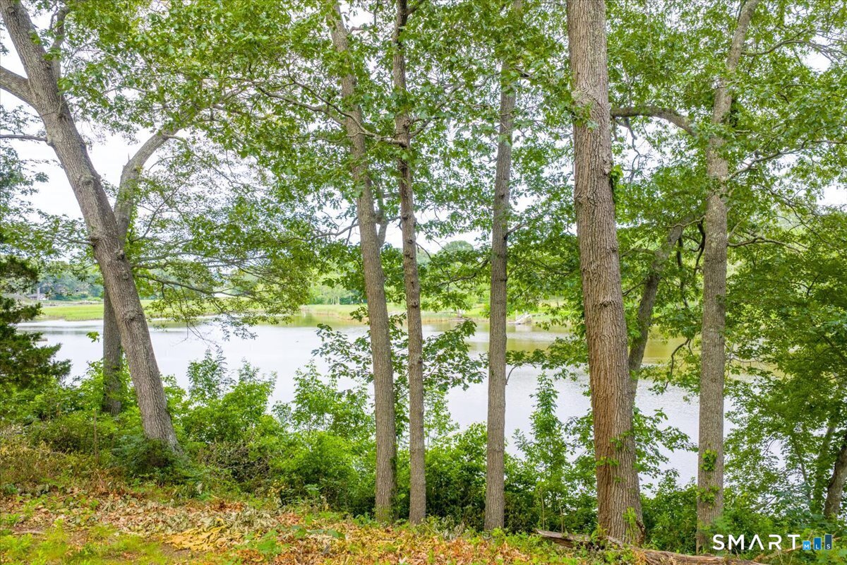 41B River Road Essex CT 06426