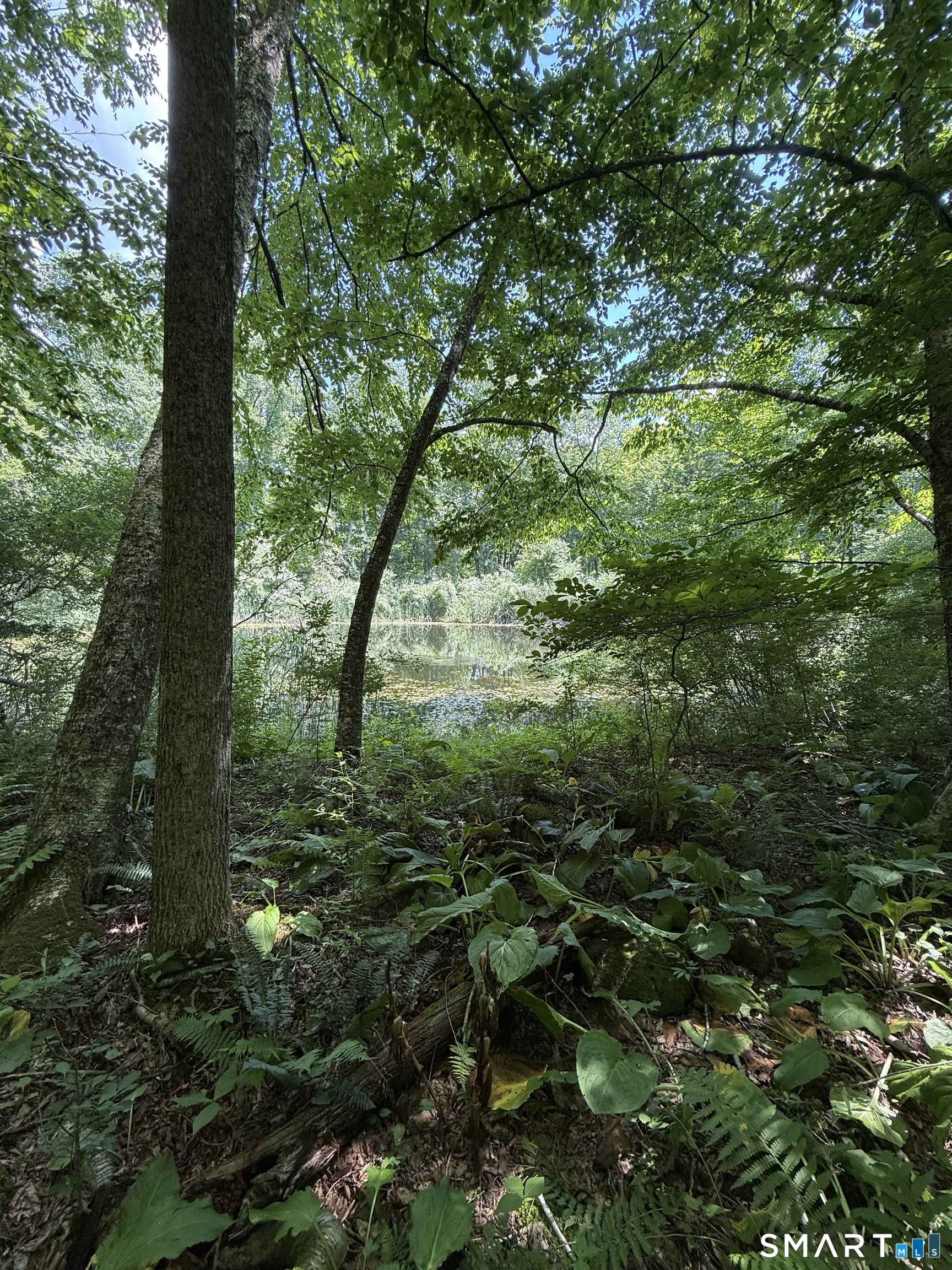 Bullymuck Road New Milford CT 06776