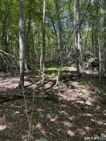 Bullymuck Road New Milford CT 06776