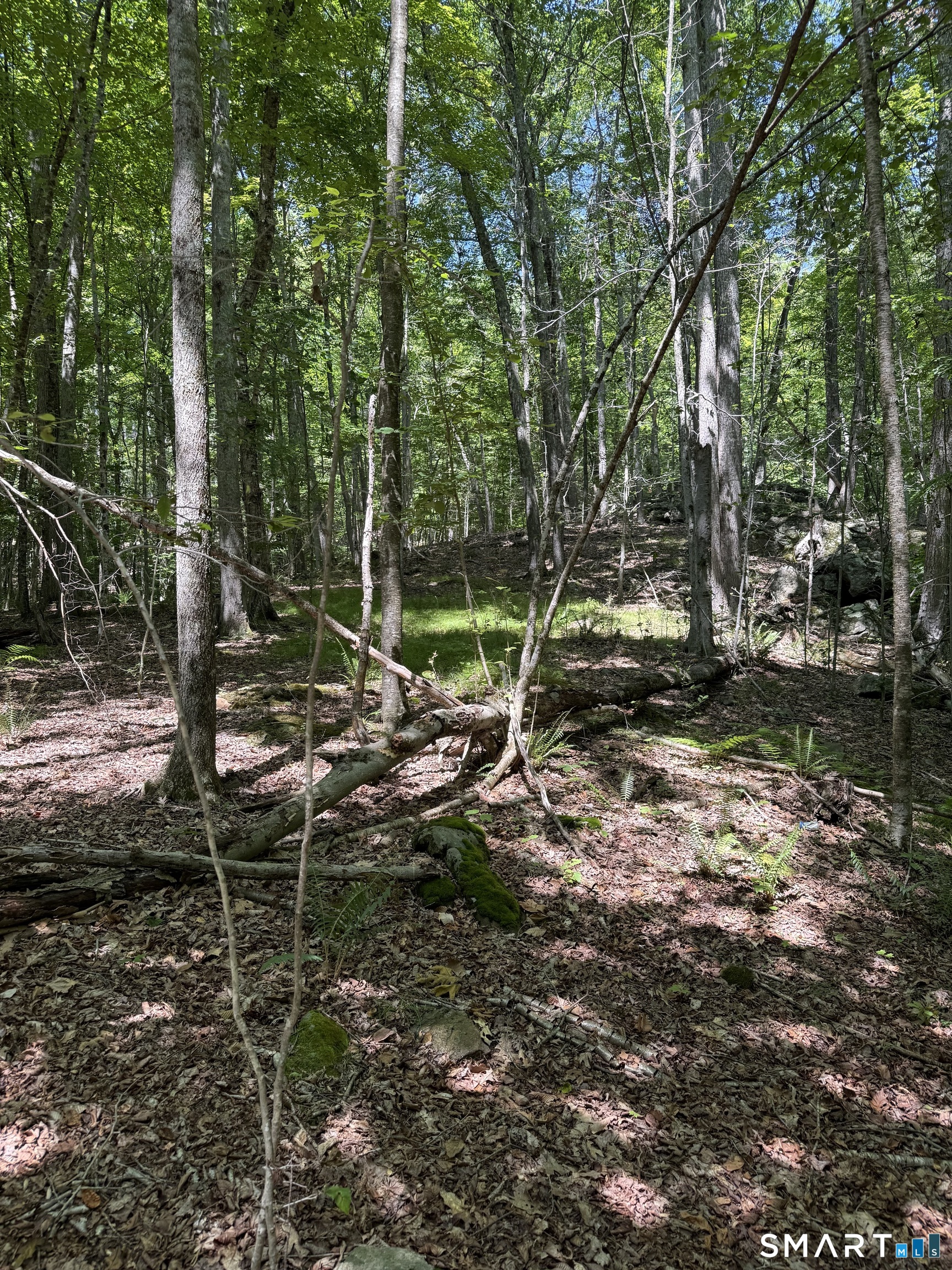Bullymuck Road New Milford CT 06776