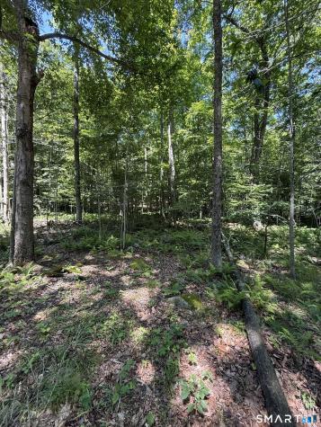 Bullymuck Road New Milford CT 06776