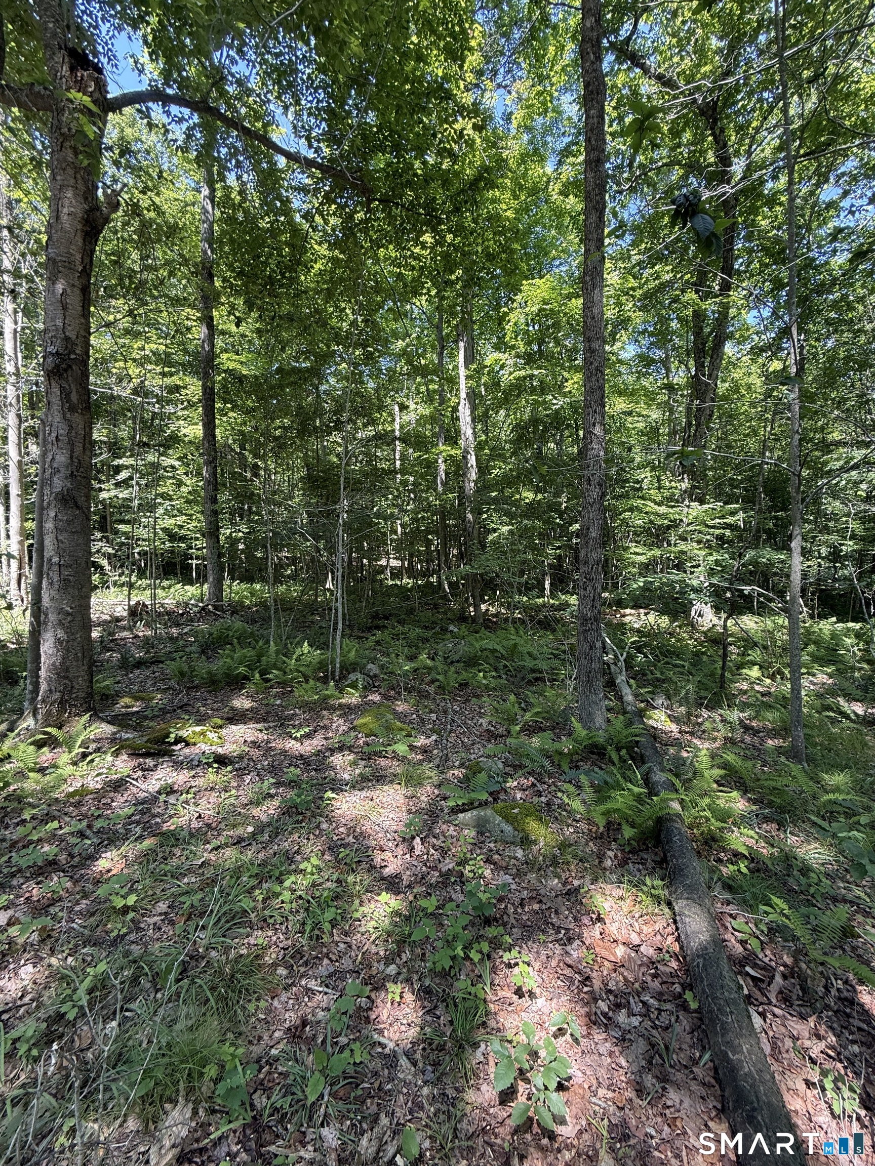 Bullymuck Road New Milford CT 06776